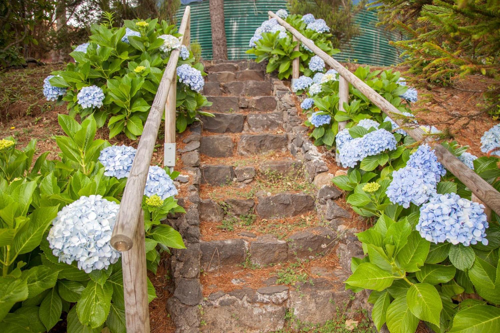 Quinta Do Santo By Lovelystay Santo Antonio da Serra Buitenkant foto