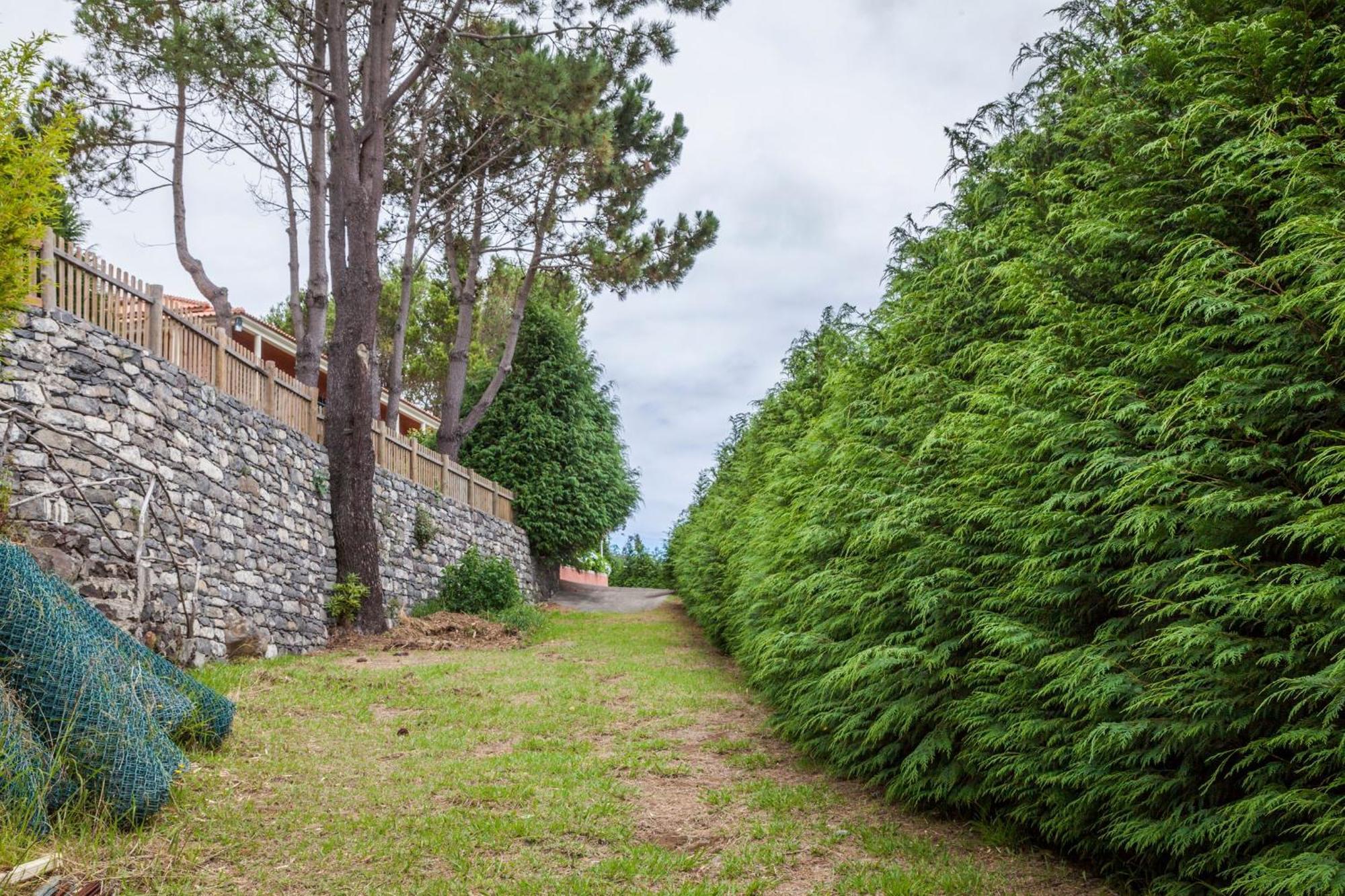 Quinta Do Santo By Lovelystay Santo Antonio da Serra Buitenkant foto